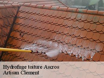 Hydrofuge toiture  ascros-06260 Artisan Clement