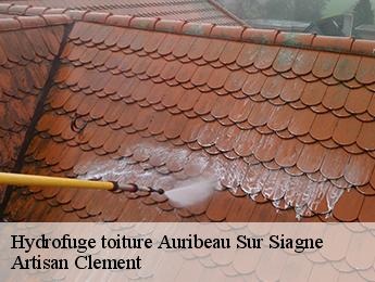 Hydrofuge toiture  auribeau-sur-siagne-06810 Artisan Clement