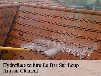 Hydrofuge toiture  le-bar-sur-loup-06620 Artisan Clement