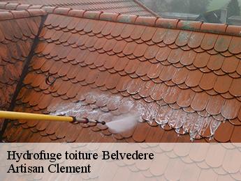 Hydrofuge toiture  belvedere-06450 Artisan Clement