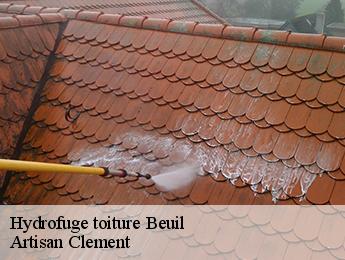 Hydrofuge toiture  beuil-06470 Artisan Clement