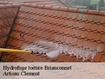 Hydrofuge toiture  brianconnet-06850 Artisan Clement