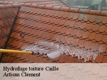 Hydrofuge toiture  caille-06750 Artisan Clement