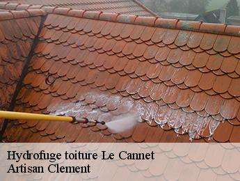 Hydrofuge toiture  le-cannet-06110 Artisan Clement