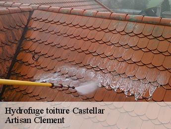 Hydrofuge toiture  castellar-06500 Artisan Clement