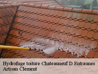 Hydrofuge toiture  chateauneuf-d-entraunes-06470 Artisan Clement