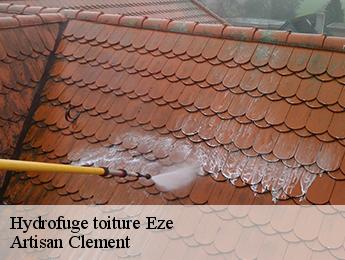 Hydrofuge toiture  eze-06360 Artisan Clement