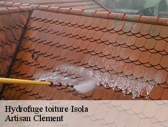 Hydrofuge toiture  isola-06420 Artisan Clement