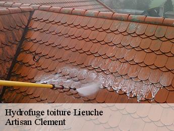 Hydrofuge toiture  lieuche-06260 Artisan Clement