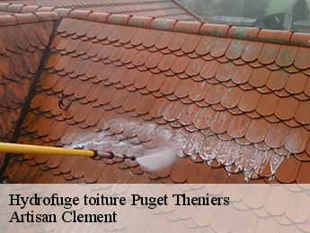 Hydrofuge toiture  puget-theniers-06260 Artisan Clement