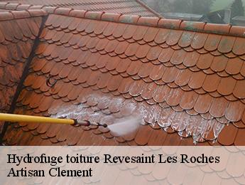 Hydrofuge toiture  revesaint-les-roches-06830 Artisan Clement