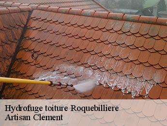 Hydrofuge toiture  roquebilliere-06450 Artisan Clement