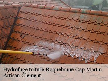 Hydrofuge toiture  roquebrune-cap-martin-06190 Artisan Clement