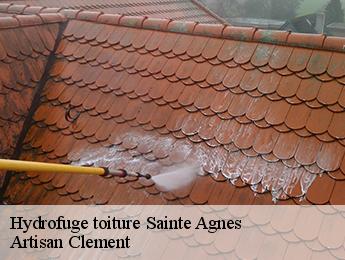 Hydrofuge toiture  sainte-agnes-06500 Artisan Clement