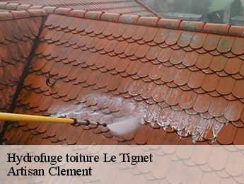 Hydrofuge toiture  le-tignet-06530 Artisan Clement