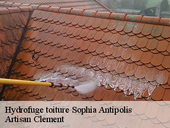 Hydrofuge toiture  sophia-antipolis-06560 Artisan Clement