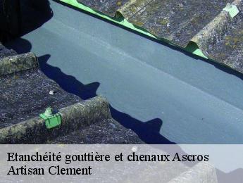 Etanchéité gouttière et chenaux  ascros-06260 Artisan Clement