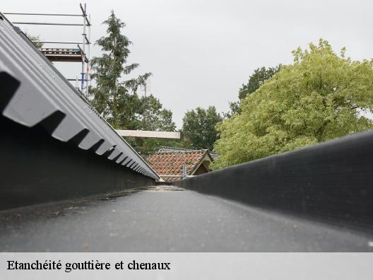 Etanchéité gouttière et chenaux  la-roquette-sur-siagne-06550 Artisan Clement