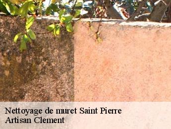 Nettoyage de muret  saint-pierre-06260 Artisan Clement