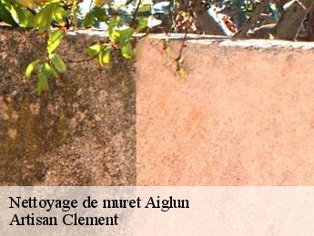 Nettoyage de muret  aiglun-06910 Artisan Clement