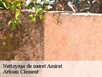 Nettoyage de muret  amirat-06910 Artisan Clement