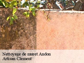 Nettoyage de muret  andon-06750 Artisan Clement