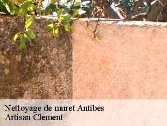 Nettoyage de muret  antibes-06600 Artisan Clement