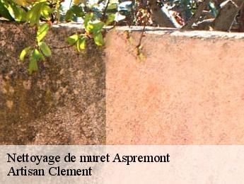 Nettoyage de muret  aspremont-06790 Artisan Clement