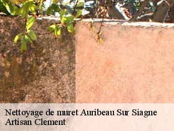 Nettoyage de muret  auribeau-sur-siagne-06810 Artisan Clement