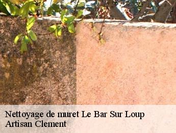 Nettoyage de muret  le-bar-sur-loup-06620 Artisan Clement