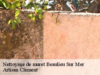 Nettoyage de muret  beaulieu-sur-mer-06310 Artisan Clement