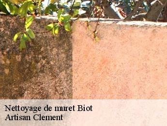 Nettoyage de muret  biot-06410 Artisan Clement