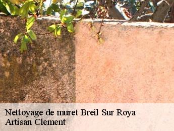 Nettoyage de muret  breil-sur-roya-06540 Artisan Clement