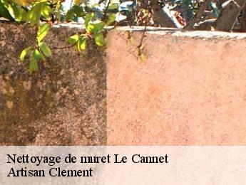 Nettoyage de muret  le-cannet-06110 Artisan Clement