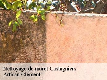 Nettoyage de muret  castagniers-06670 Artisan Clement