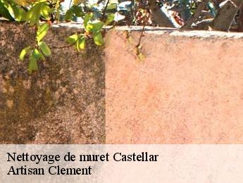 Nettoyage de muret  castellar-06500 Artisan Clement