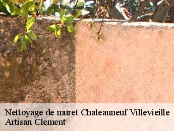 Nettoyage de muret  chateauneuf-villevieille-06390 Artisan Clement