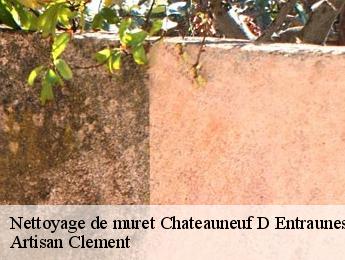 Nettoyage de muret  chateauneuf-d-entraunes-06470 Artisan Clement