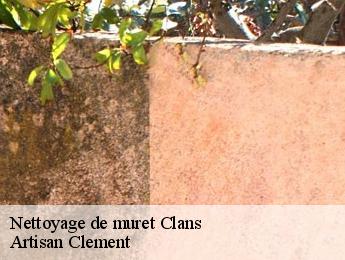 Nettoyage de muret  clans-06420 Artisan Clement