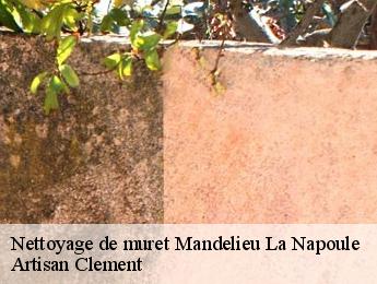 Nettoyage de muret  mandelieu-la-napoule-06210 Artisan Clement