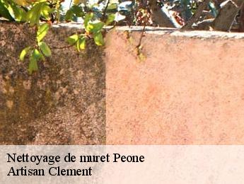 Nettoyage de muret  peone-06470 Artisan Clement