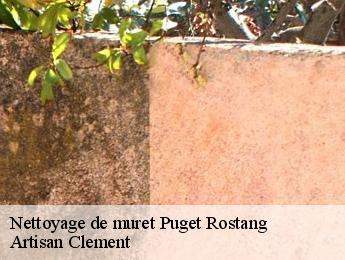 Nettoyage de muret  puget-rostang-06260 Artisan Clement