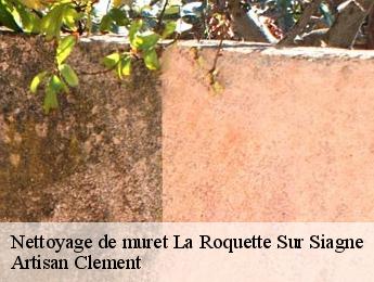 Nettoyage de muret  la-roquette-sur-siagne-06550 Artisan Clement