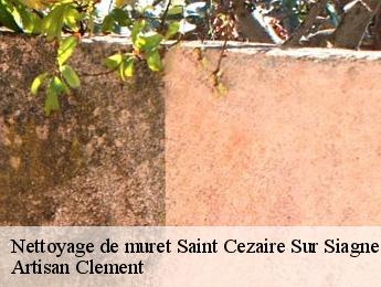 Nettoyage de muret  saint-cezaire-sur-siagne-06780 Artisan Clement