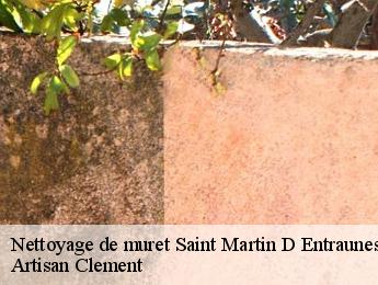 Nettoyage de muret  saint-martin-d-entraunes-06470 Artisan Clement