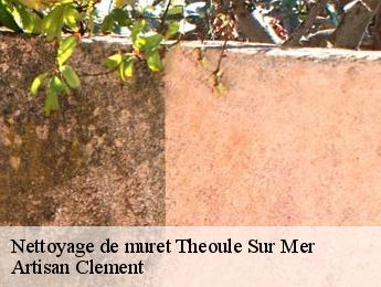 Nettoyage de muret  theoule-sur-mer-06590 Artisan Clement