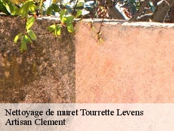 Nettoyage de muret  tourrette-levens-06690 Artisan Clement