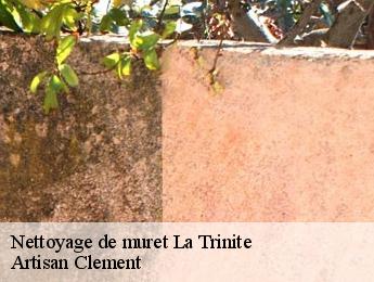 Nettoyage de muret  la-trinite-06340 Artisan Clement