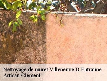 Nettoyage de muret  villeneuve-d-entraune-06470 Artisan Clement