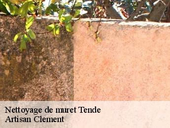 Nettoyage de muret  tende-06430 Artisan Clement